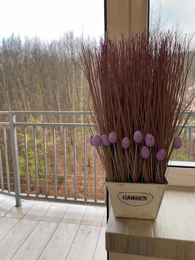 Апартаменты Luxury Lavander Polyana (Transcarpathia) Exterior foto